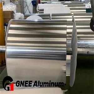 Aluminum Foil Flexible Food Packaging Large